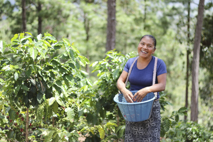 Coffee producers Carmelina Carranza Díaz and Luis Ramón Mejía Díaz use ASA practices to grow the coffee on their farms in Zacapa, Guatemala. Water-Smart Agriculture - Agua y Suelo para la Agricultura (ASA) – is the proven practice of managing soil to manage water and increase yields. Farmers across Central America and Mexico are maximizing the potential of their land and rainfall using ASA’s practical and effective farm management practices.