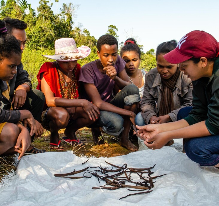 Félicité works with a group of local youth, explaining the careful and intensive process of growing high quality vanilla. Photo by Heidi Yanulis for CRS.