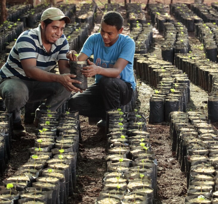 Younger farmers in the greens